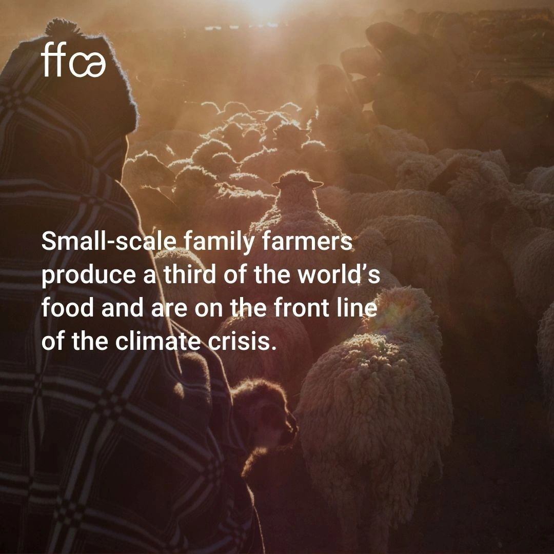 Ffca