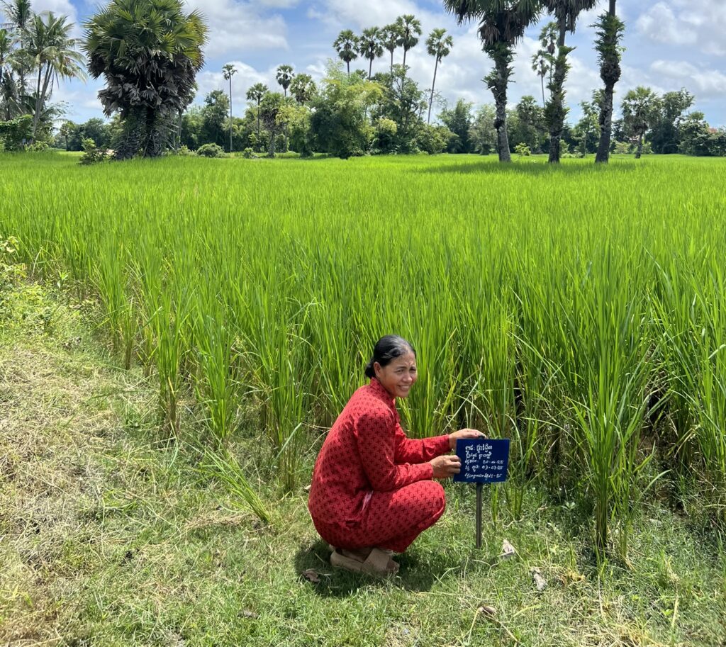 Woman farmer seed production in front of her field in Cambodia