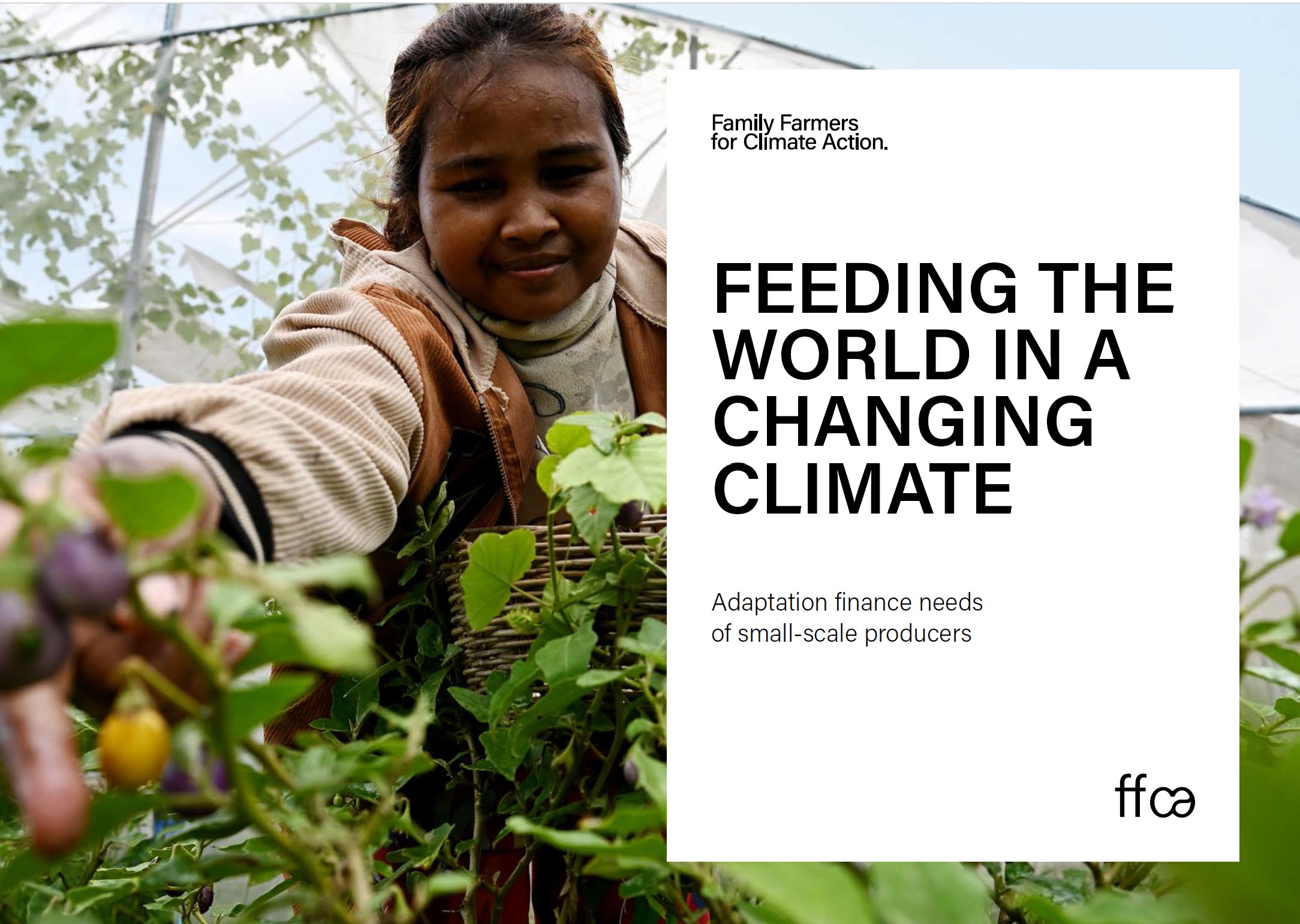Feeding the world in a changing climate report cover