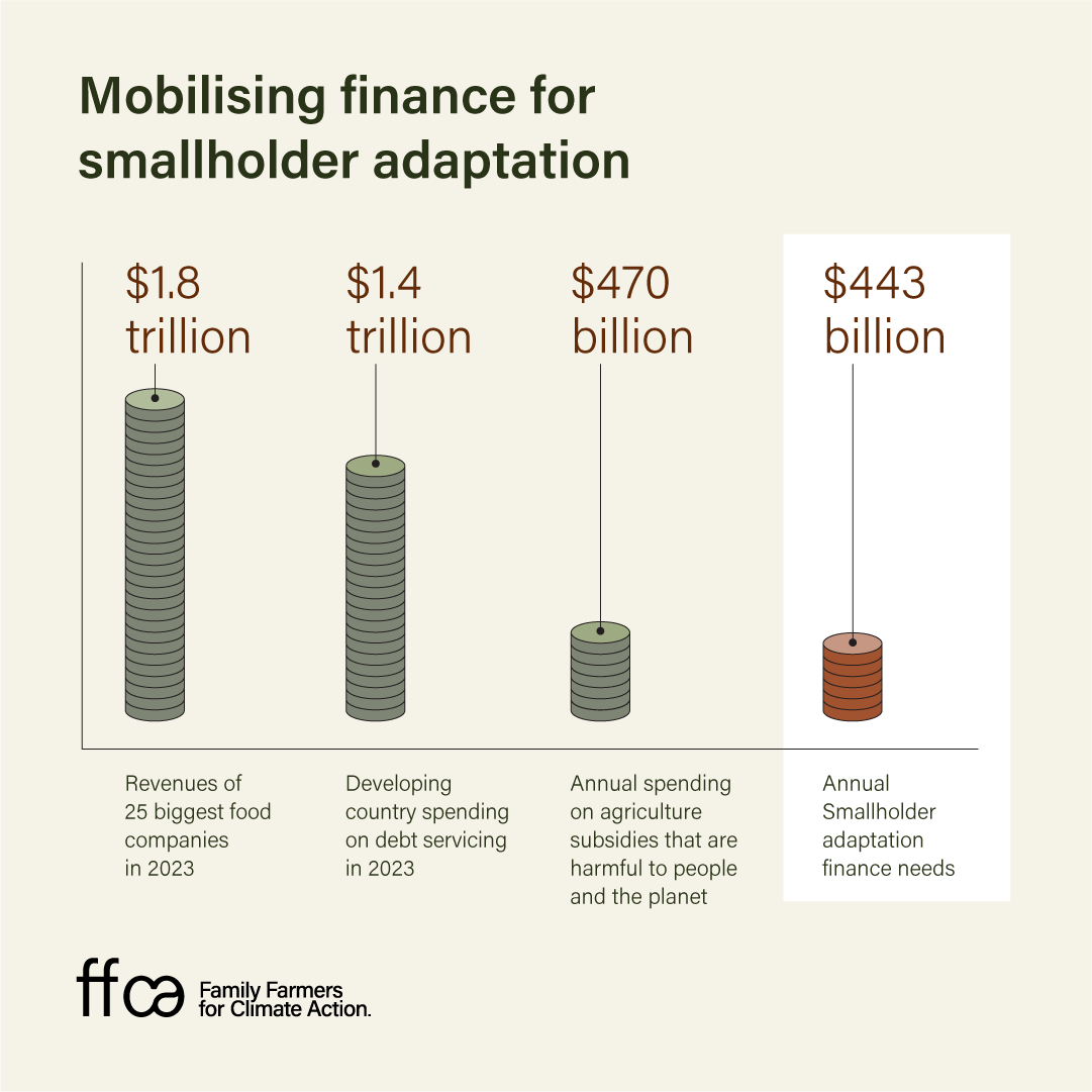 Infographic on mobilising finance for smallholder farmers organisations for climate adaptation